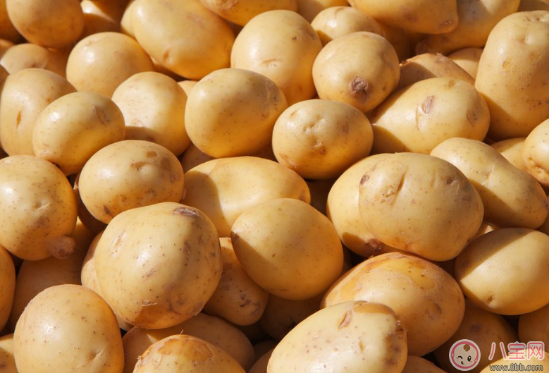 孩子早餐適合吃什么     發酵類食品推薦