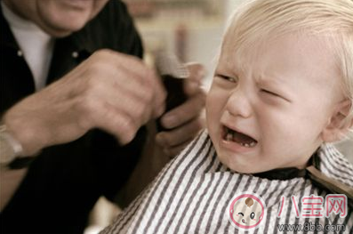 寶寶怕理發怎么辦     怎么讓寶寶乖乖理發