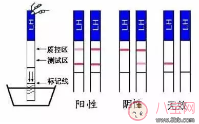 4天內造人成功    成功率最高的懷孕方法