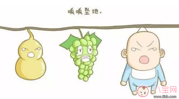 生產后的寶寶出生后去哪了    寶寶出生后就被抱走是為什么