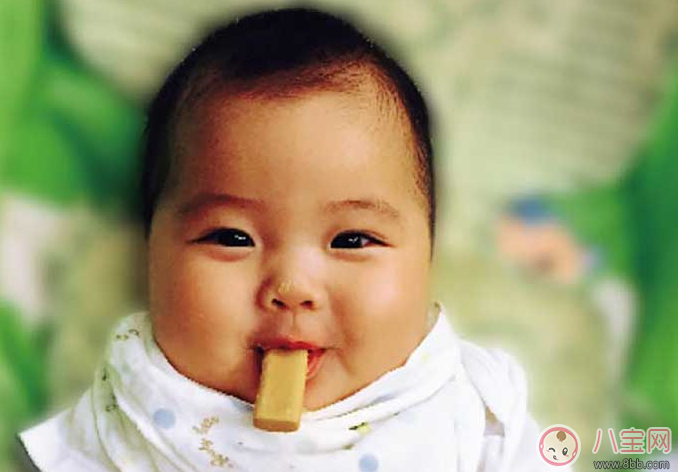 寶寶多大吃磨牙餅干 磨牙餅干幾個(gè)月開始吃