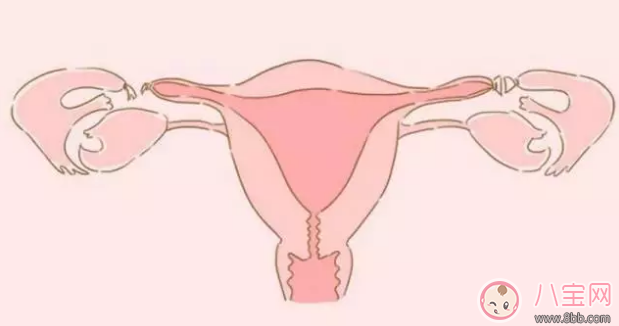 一碰就懷孕是真的嗎      易孕體質(zhì)有哪些征兆