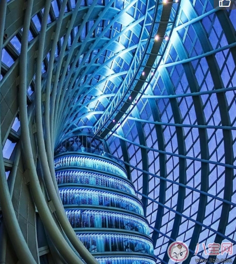 漂漂羽毛發布會明星 漂漂羽毛品牌故事