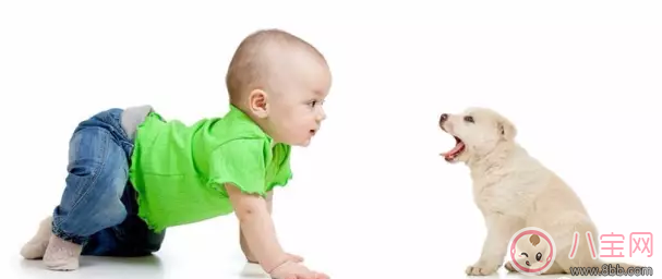 寶寶爬行怎么教 教會(huì)寶寶爬行小技巧