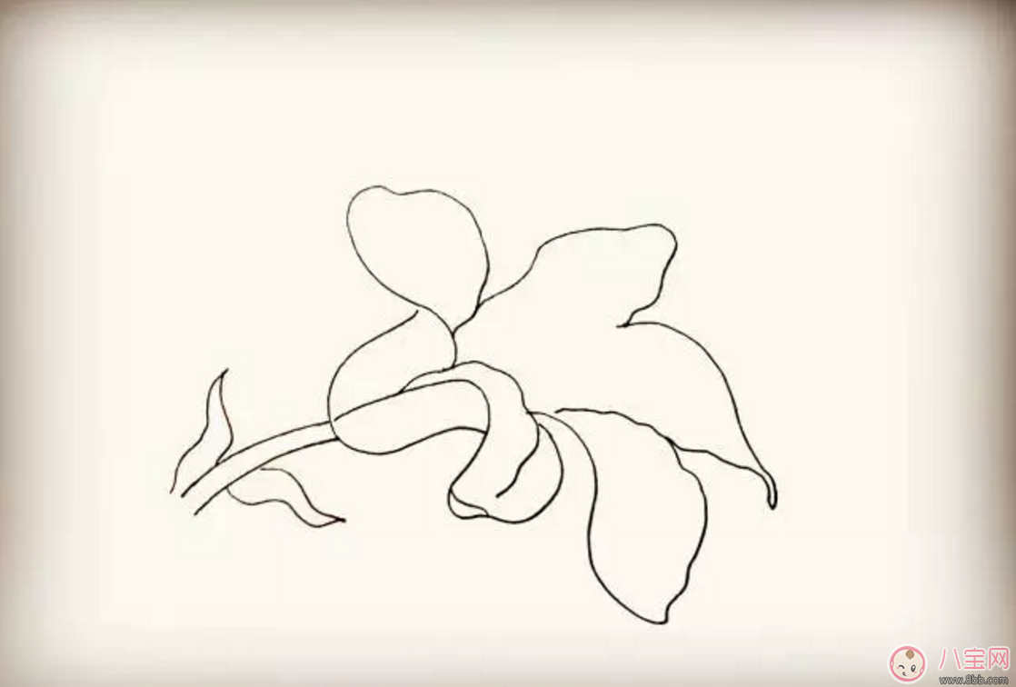怎么教寶寶花百合花 百合花簡筆畫