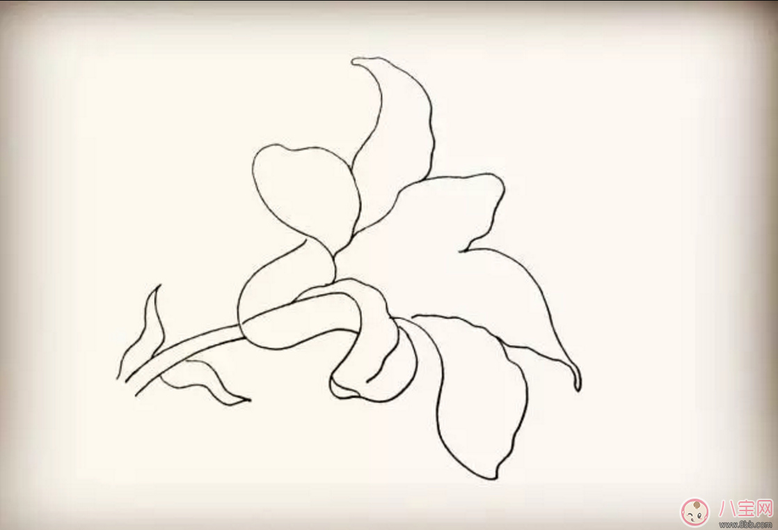 怎么教寶寶花百合花 百合花簡筆畫