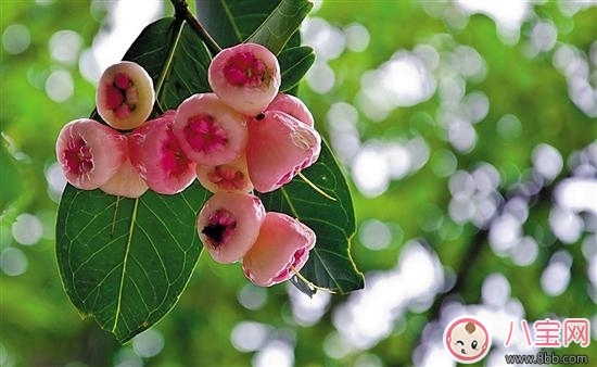 三伏天如何讓寶寶輕松避暑呢