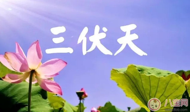 2017三伏天是什么時候 2017三伏天時間表