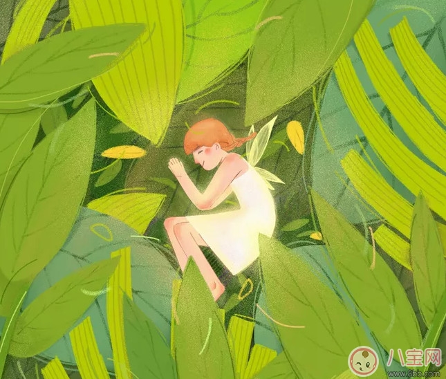 送給精靈寶寶的胎教小故事 夜晚的小精靈