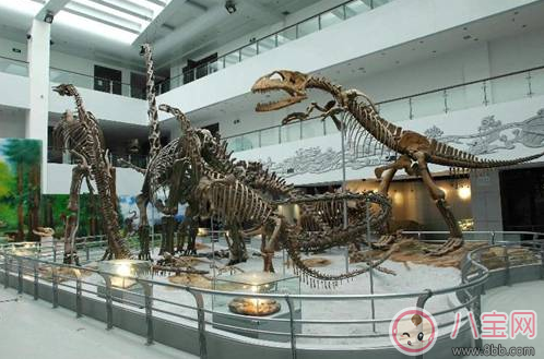 親子游去哪避暑比較好 武漢最佳避暑游玩推薦