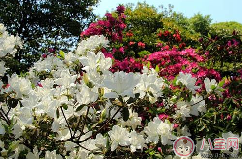 親子游去哪避暑比較好 武漢最佳避暑游玩推薦