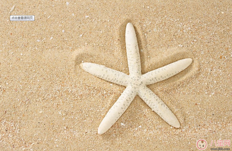 楊冪爸爸曬和小酒窩在沙灘玩耍 和寶寶在沙灘玩耍需要注意些什么