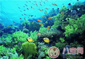 2017三伏天帶寶寶旅行應(yīng)如何準(zhǔn)備 親子旅行必帶藥品清單 2017三伏天帶寶寶旅行應(yīng)如何準(zhǔn)備 親子旅行必帶藥品清單