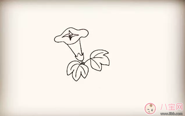 兒童簡筆畫 簡筆畫牽牛花喇叭花