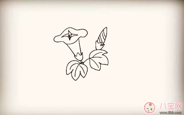 兒童簡筆畫 簡筆畫牽牛花喇叭花
