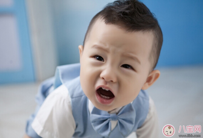 2歲寶寶不吃肉怎么辦 兩歲多的寶寶做什么肉(豆腐燉牛肉)