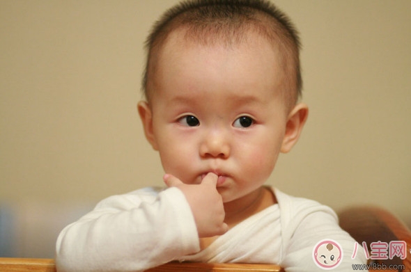 2歲寶寶不吃肉怎么辦 兩歲多的寶寶做什么肉(豆腐燉牛肉)