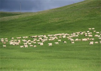 田亮森碟現身機場出行游玩 一家人出行需要準備什么