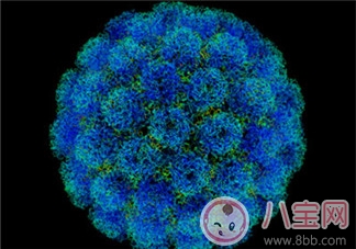 2017腸病毒高發期 這樣做躲過易發病