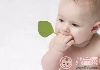 2017頭伏預防痱子吃對才關鍵 適合全家人的防痱食譜合集