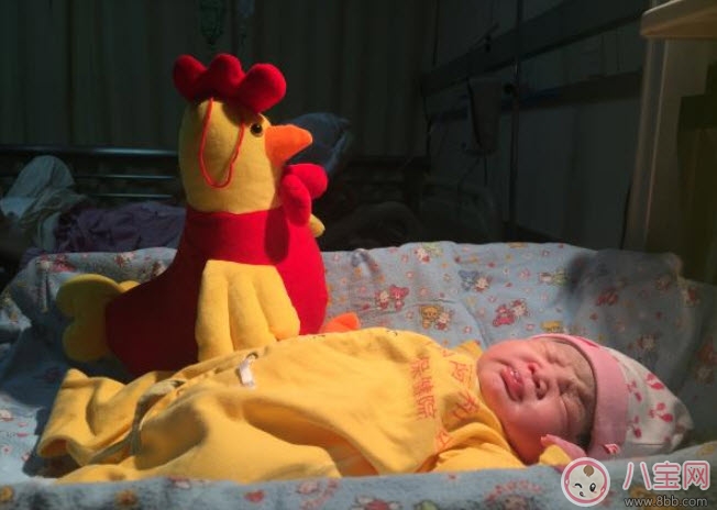 2017年雞寶寶取名禁忌 雞寶寶取名宜用字(男寶寶女寶寶) 2017年雞寶寶取名禁忌 雞寶寶取名宜用字(男寶寶女寶寶)