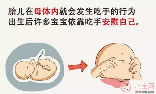 寶寶吃手怎么辦 寶寶吃手指的原因(寶寶吃手指還有這些好處)