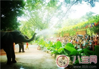 2017七夕節全家出游攻略 帶娃出行怎么做