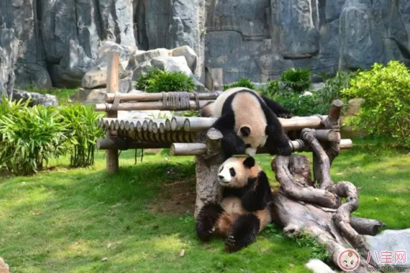 2017七夕節全家出游攻略 帶娃出行怎么做