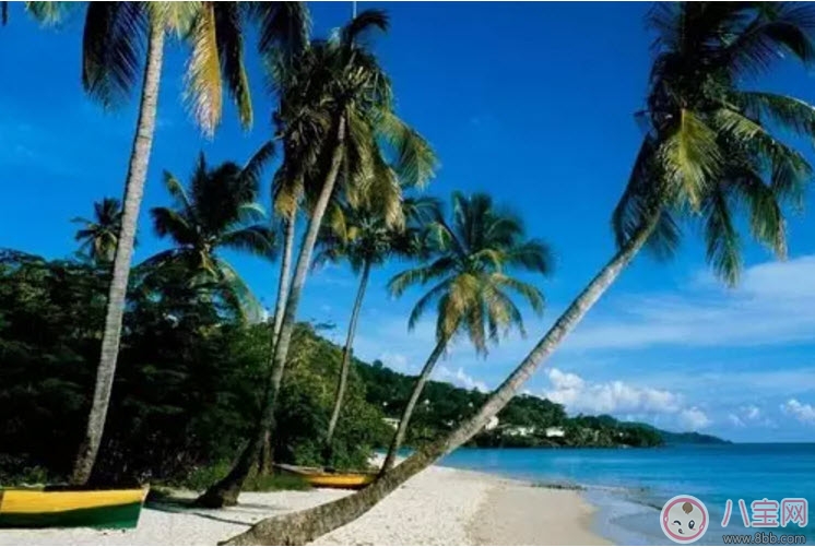 2017七夕節全家出游攻略 帶娃出行怎么做