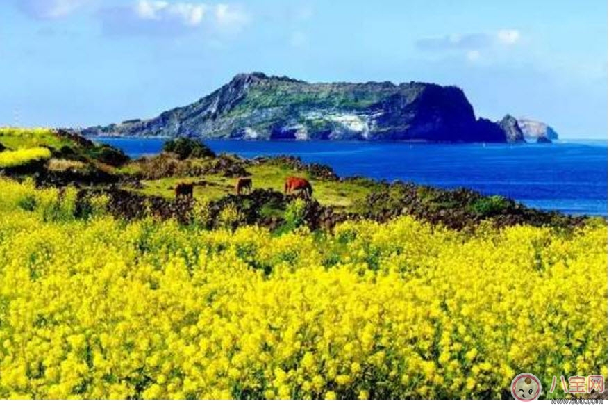 2017七夕節全家出游攻略 帶娃出行怎么做