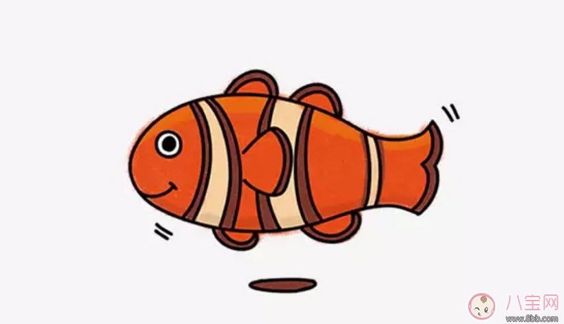 海洋生物趣味多 魚類簡(jiǎn)筆畫