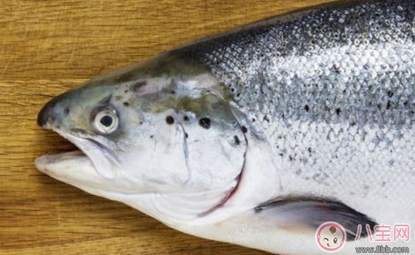 孕婦可以吃海鮮嗎 孕婦可以吃的海鮮有哪些