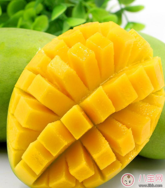 老婆懷孕了給她嘗嘗鮮 懷孕可以吃芒果嗎 老婆懷孕了給她嘗嘗鮮 懷孕可以吃芒果嗎