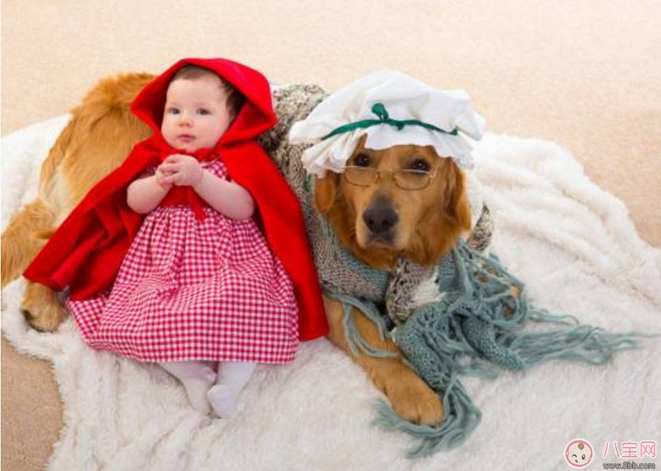 孕期家里有寵物怎么辦 孕期養寵物注意事項