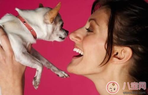 孕期家里有寵物怎么辦 孕期養寵物注意事項