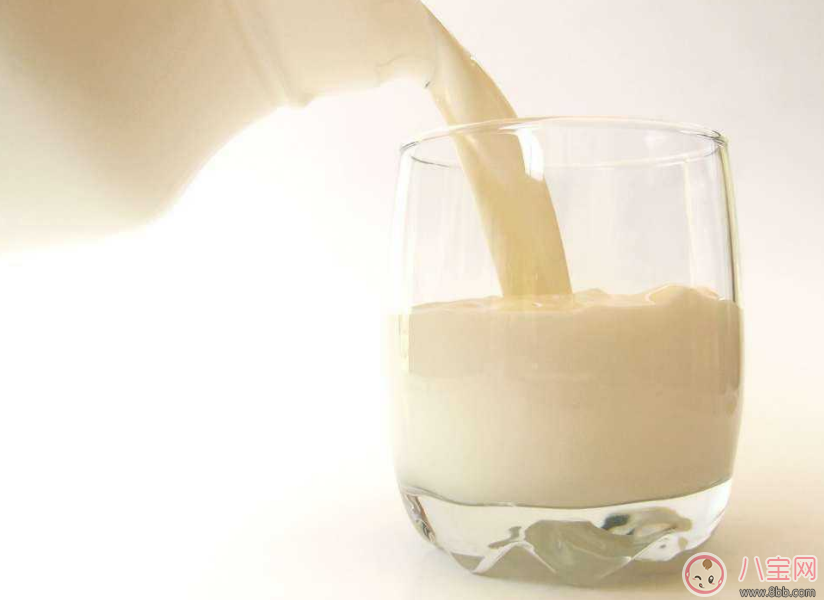孕婦不能亂喝牛奶？ 看了這個你就會明白