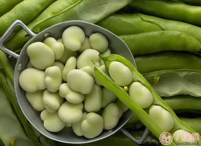 什么是蠶豆病 新生兒蠶豆病有哪些癥狀