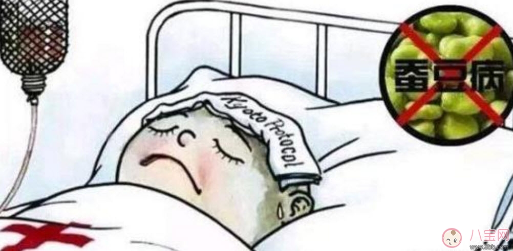 什么是蠶豆病 新生兒蠶豆病有哪些癥狀