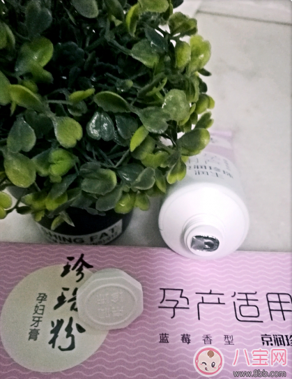 適合準(zhǔn)媽媽用的牙膏測(cè)評(píng):京潤(rùn)珍珠粉孕婦牙膏 適合準(zhǔn)媽媽用的牙膏測(cè)評(píng):京潤(rùn)珍珠粉孕婦牙膏