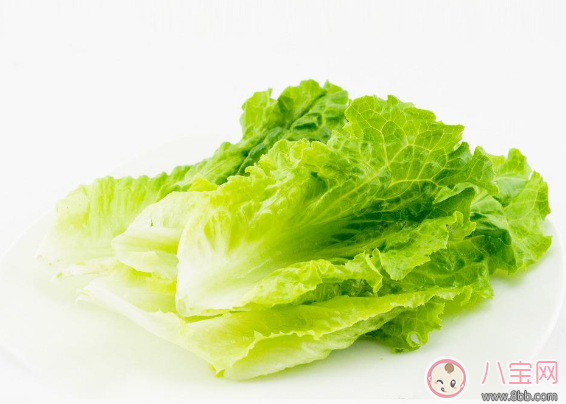 寶寶愛吃生菜怎么做 寶寶最適合吃的生菜做法 寶寶愛吃生菜怎么做 寶寶最適合吃的生菜做法