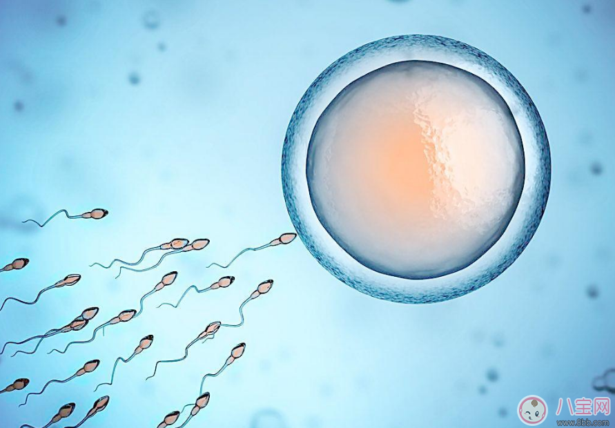 備孕三個月懷不上 其實懷不上并不是一個人的錯