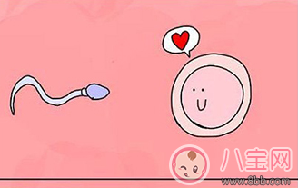 同房后“倒立”就可以懷上嗎 備孕期間有哪些誤區(qū)要注意