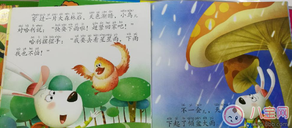 兒童睡前故事：美麗的星星雨