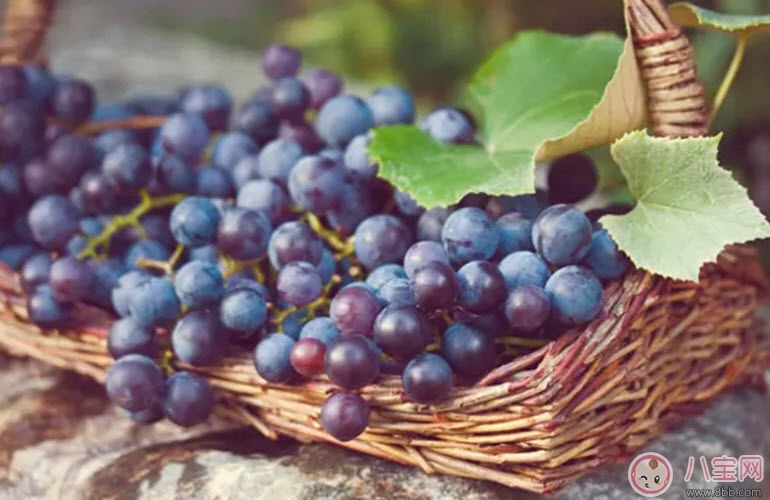 孕婦每天可以吃多少葡萄 懷孕吃葡萄有什么好處 孕婦每天可以吃多少葡萄 懷孕吃葡萄有什么好處