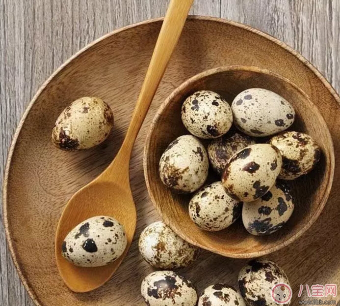 孕婦吃鵪鶉蛋會長斑嗎 孕婦鵪鶉蛋每天吃幾個(3-4個) 孕婦吃鵪鶉蛋會長斑嗎 孕婦鵪鶉蛋每天吃幾個(3-4個)