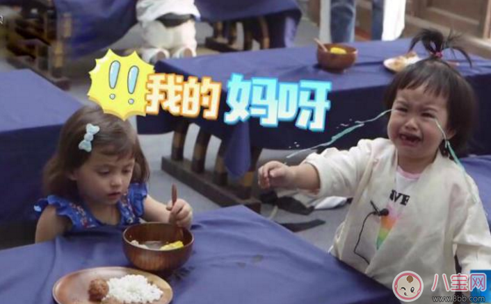 包貝爾女兒餃子情商高 孩子怎么說話聰明 包貝爾女兒餃子情商高 孩子怎么說話聰明