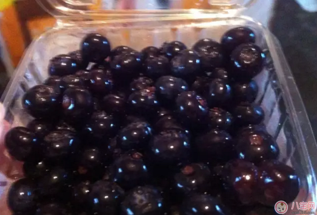 藍莓輔食營養高 如何給寶寶吃