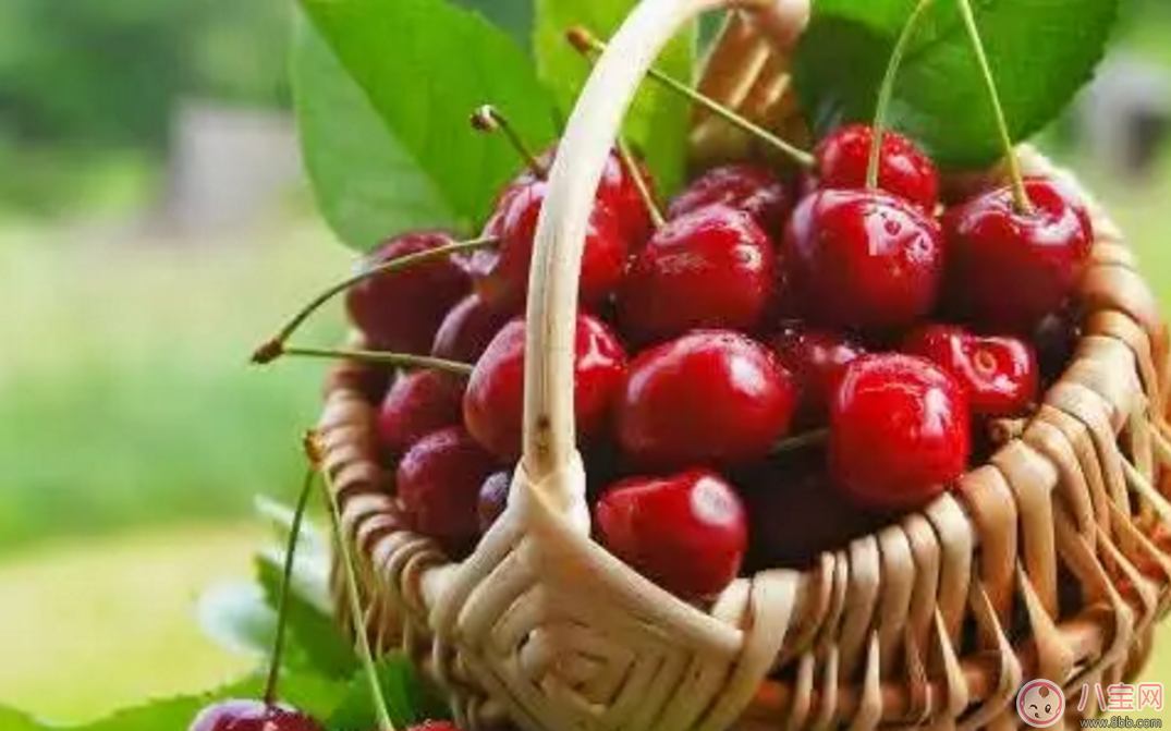 如何選擇寶寶零食 讓寶寶吃的更營(yíng)養(yǎng)健康