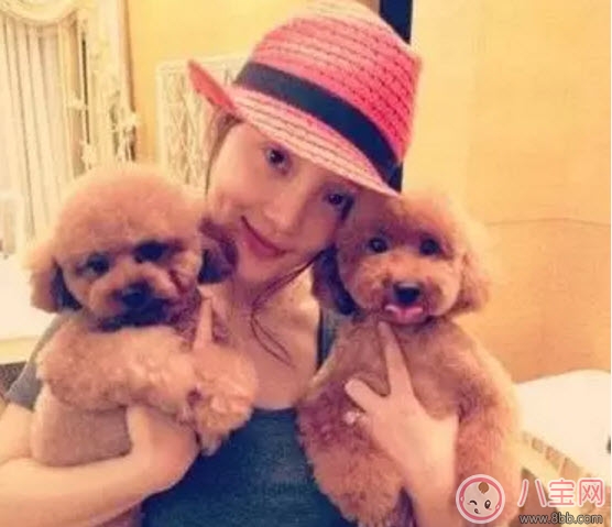 養(yǎng)寵物的孕婦應(yīng)該做哪些檢查 為什么明星懷孕了能養(yǎng)寵物 養(yǎng)寵物的孕婦應(yīng)該做哪些檢查 為什么明星懷孕了能養(yǎng)寵物