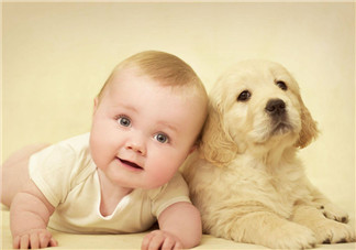 寶寶自閉癥怎么辦  如何讓自閉癥寶寶健康成長